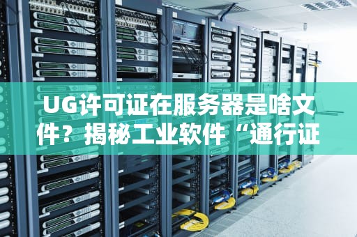 UG许可证在服务器是啥文件？揭秘工业软件“通行证”的那些事儿