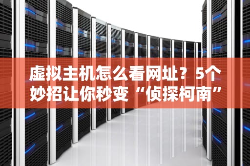 虚拟主机怎么看网址？5个妙招让你秒变“侦探柯南”！