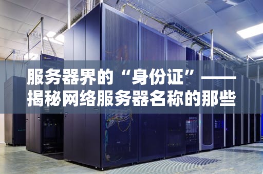服务器界的“身份证”——揭秘网络服务器名称的那些事儿