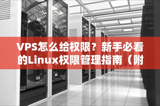 VPS怎么给权限？新手必看的Linux权限管理指南（附骚操作）