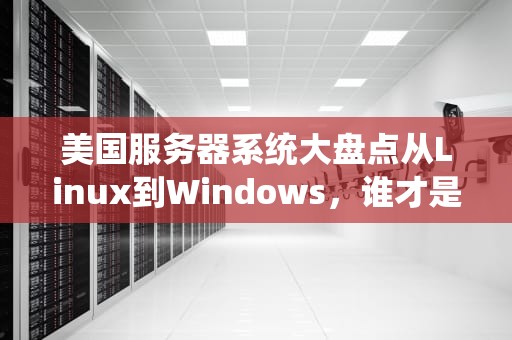 美国服务器系统大盘点从Linux到Windows，谁才是真正的“扛把子”？