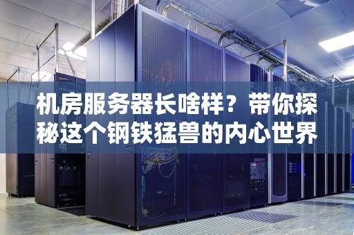 机房服务器长啥样？带你探秘这个钢铁猛兽的内心世界！