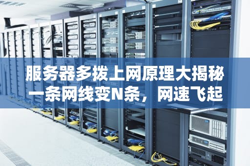 服务器多拨上网原理大揭秘一条网线变N条，网速飞起不是梦！