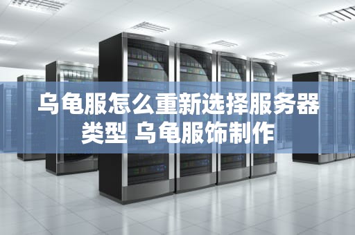 乌龟服怎么重新选择服务器类型 乌龟服饰制作