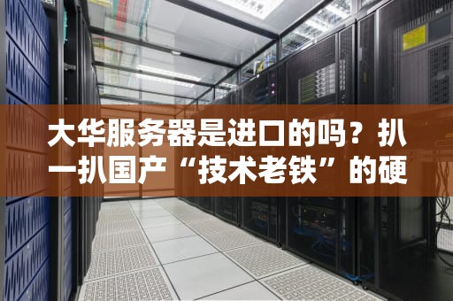 大华服务器是进口的吗？扒一扒国产“技术老铁”的硬核底细！