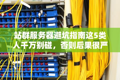 站群服务器避坑指南这5类人千万别碰，否则后果很严重！