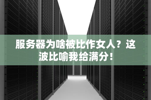 服务器为啥被比作女人？这波比喻我给满分！