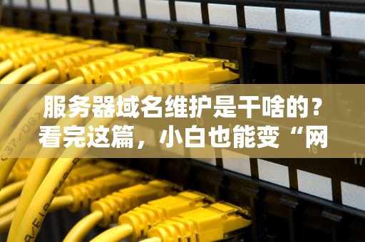 服务器域名维护是干啥的？看完这篇，小白也能变“网管”！
