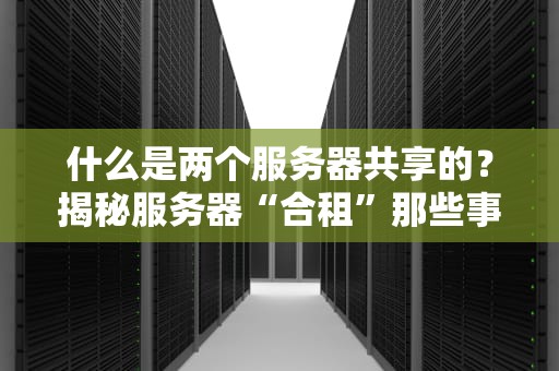 什么是两个服务器共享的？揭秘服务器“合租”那些事儿！