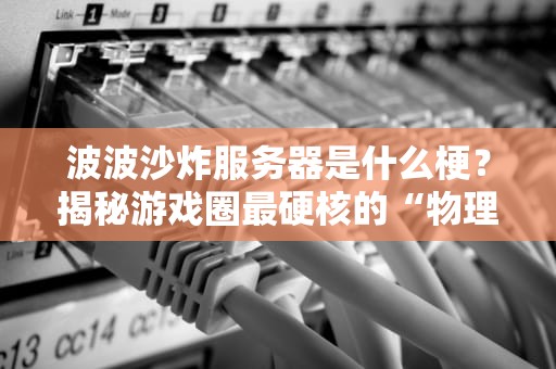波波沙炸服务器是什么梗？揭秘游戏圈最硬核的“物理外挂”