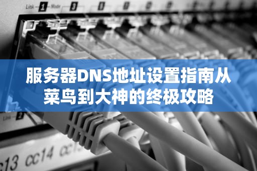 服务器DNS地址设置指南从菜鸟到大神的终极攻略