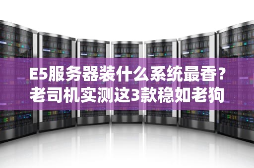 E5服务器装什么系统最香？老司机实测这3款稳如老狗！