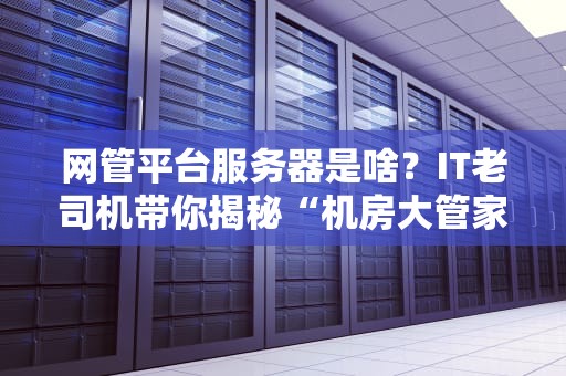 网管平台服务器是啥？IT老司机带你揭秘“机房大管家”的日常！