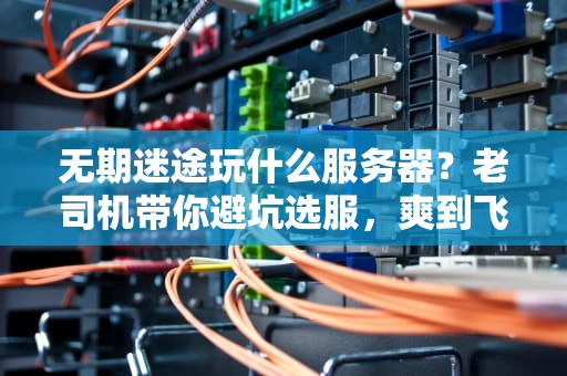 无期迷途玩什么服务器？老司机带你避坑选服，爽到飞起！