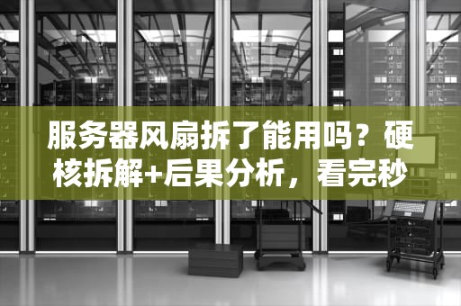 服务器风扇拆了能用吗？硬核拆解+后果分析，看完秒懂！