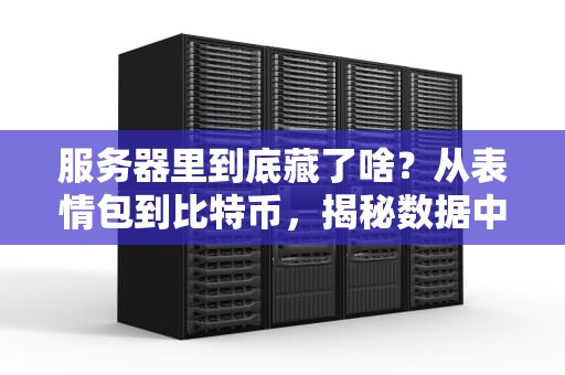 服务器里到底藏了啥？从表情包到比特币，揭秘数据中心的数字杂货铺！