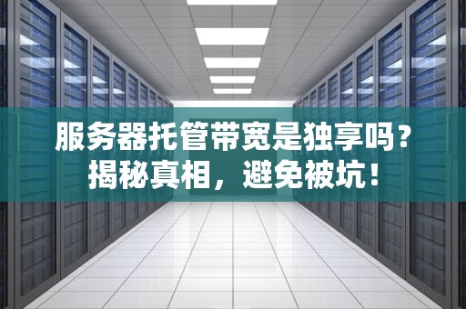 服务器托管带宽是独享吗？揭秘真相，避免被坑！