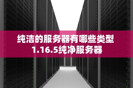 纯洁的服务器有哪些类型 1.16.5纯净服务器