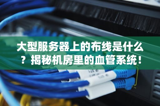 大型服务器上的布线是什么？揭秘机房里的血管系统！