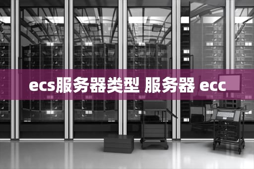 ecs服务器类型 服务器 ecc