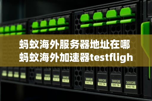 蚂蚁海外服务器地址在哪 蚂蚁海外加速器testflight