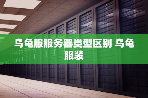 乌龟服服务器类型区别 乌龟服装