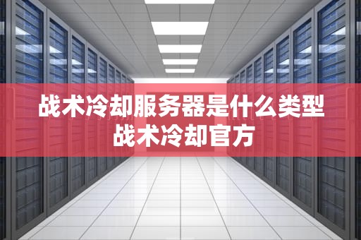 战术冷却服务器是什么类型 战术冷却官方