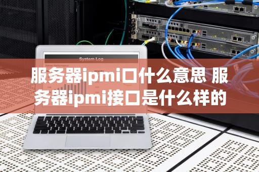 服务器ipmi口什么意思 服务器ipmi接口是什么样的