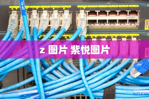 z 图片 紫悦图片