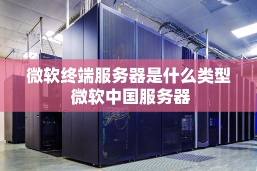 微软终端服务器是什么类型 微软中国服务器