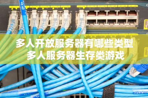 多人开放服务器有哪些类型 多人服务器生存类游戏