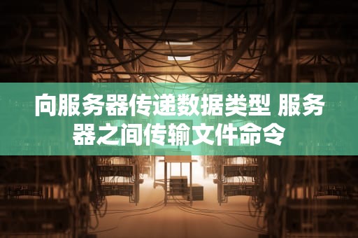 向服务器传递数据类型 服务器之间传输文件命令