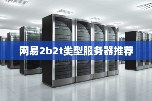 网易2b2t类型服务器推荐