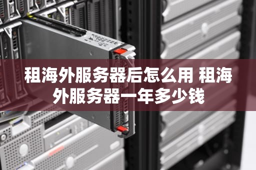 租海外服务器后怎么用 租海外服务器一年多少钱