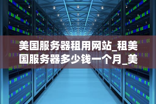美国服务器租用网站_租美国服务器多少钱一个月_美国服务器租用网站：选择与优化的关键