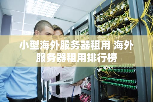 小型海外服务器租用 海外服务器租用排行榜