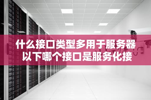 什么接口类型多用于服务器 以下哪个接口是服务化接口