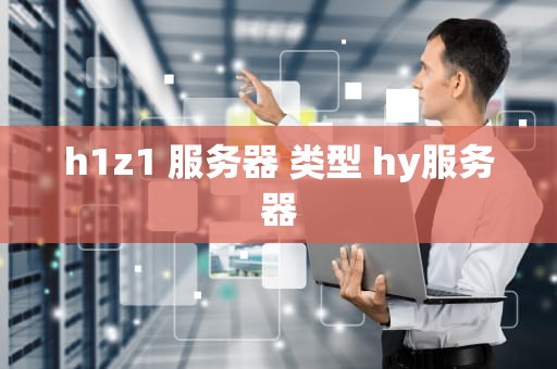 h1z1 服务器 类型 hy服务器
