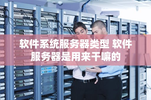 软件系统服务器类型 软件服务器是用来干嘛的