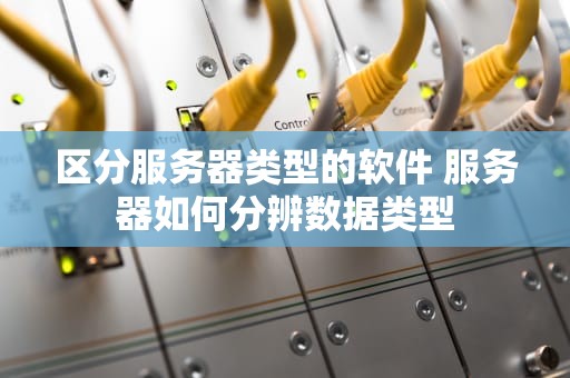 区分服务器类型的软件 服务器如何分辨数据类型