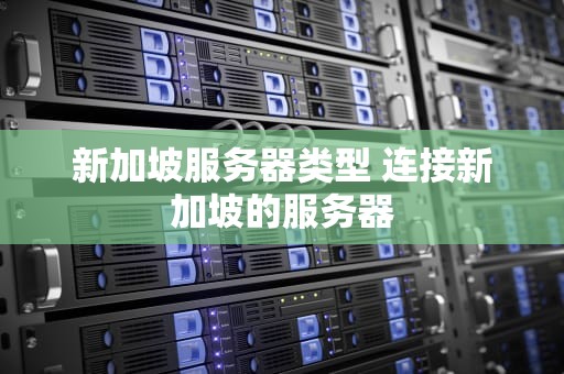 新加坡服务器类型 连接新加坡的服务器