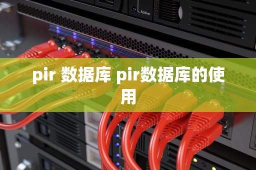 pir 数据库 pir数据库的使用
