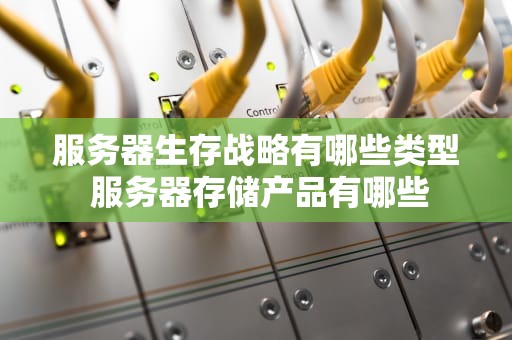 服务器生存战略有哪些类型 服务器存储产品有哪些