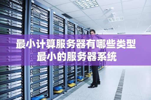 最小计算服务器有哪些类型 最小的服务器系统