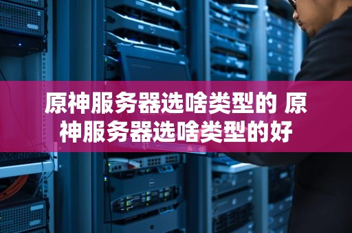 原神服务器选啥类型的 原神服务器选啥类型的好