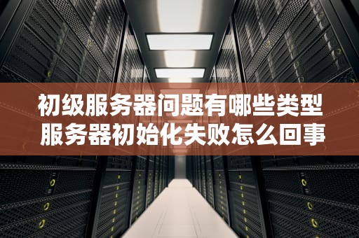 初级服务器问题有哪些类型 服务器初始化失败怎么回事