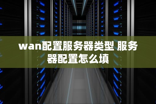 wan配置服务器类型 服务器配置怎么填