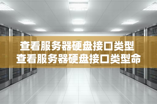 查看服务器硬盘接口类型 查看服务器硬盘接口类型命令