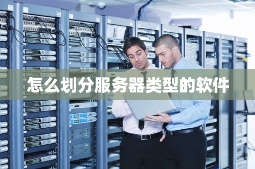 怎么划分服务器类型的软件
