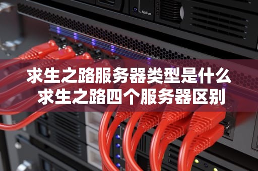 求生之路服务器类型是什么 求生之路四个服务器区别